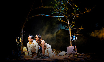 Illustration : TIMBER